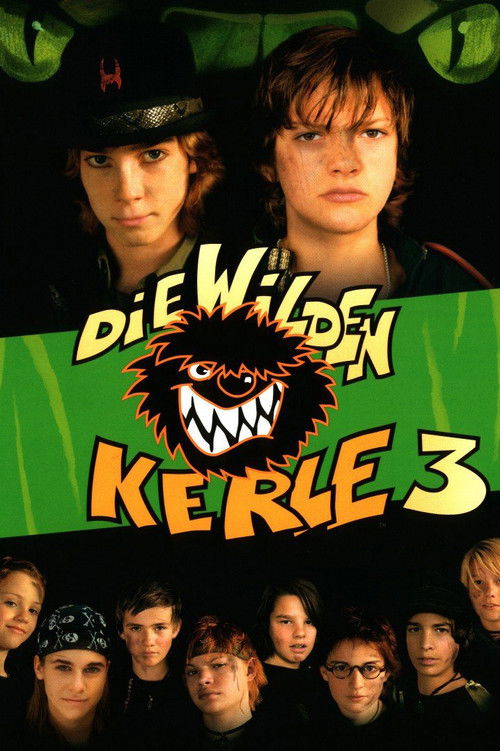 Póster de Die Wilden Kerle 3