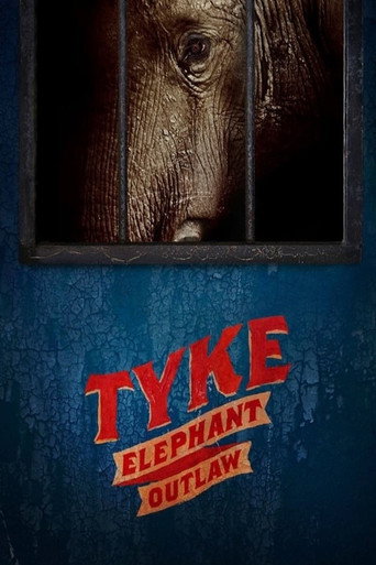 Póster de Tyke Elephant Outlaw