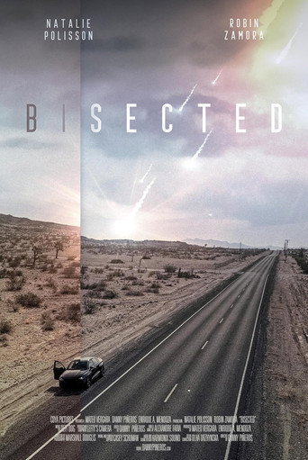 Póster de Bisected
