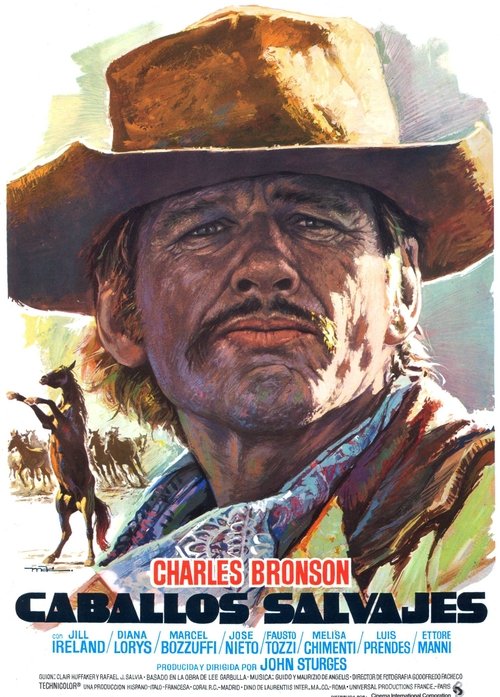 Póster de Valdez, il mezzosangue