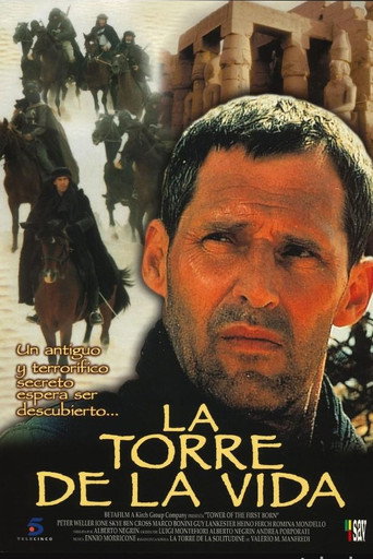 Póster de I guardiani del cielo