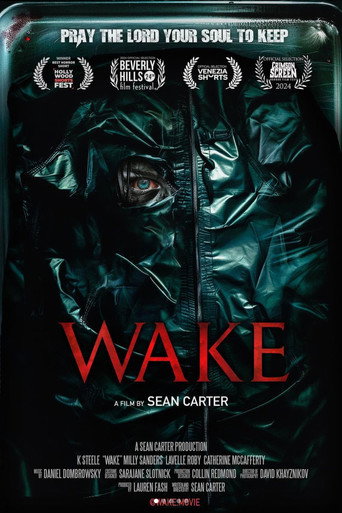 Póster de Wake