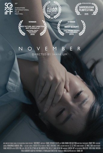 Póster de NOVEMBER