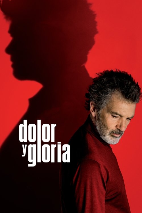 Póster de Dolor y gloria