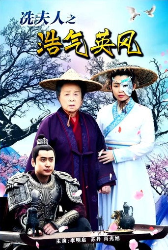 Póster de 冼夫人之浩气英风