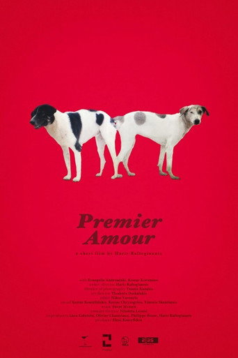Póster de Premier Amour