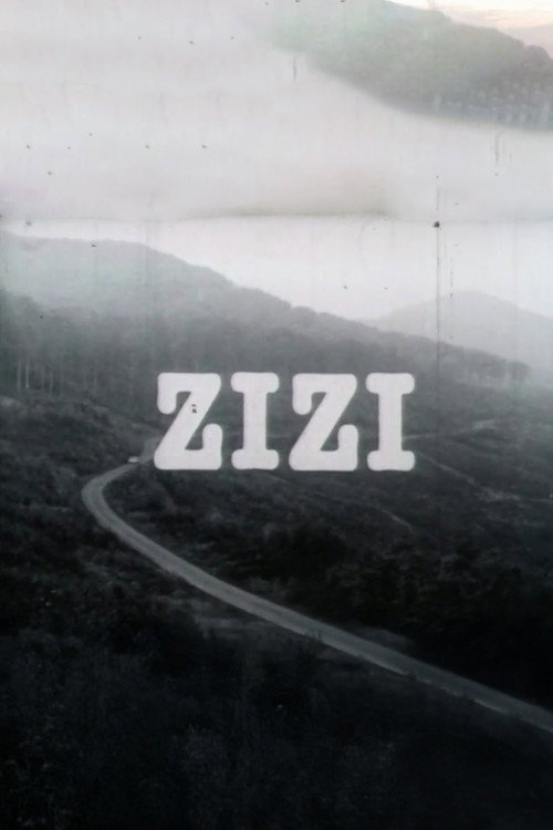 Póster de Zizi