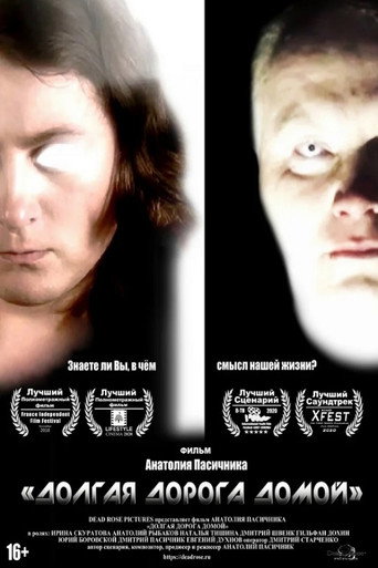 Póster de Долгая дорога домой