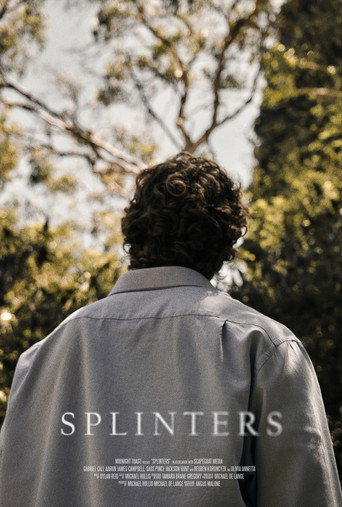 Póster de Splinters