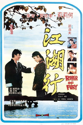 Póster de 江湖行