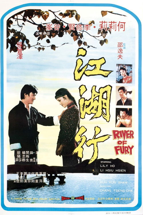 Póster de 江湖行