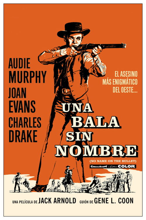 Póster de No Name on the Bullet