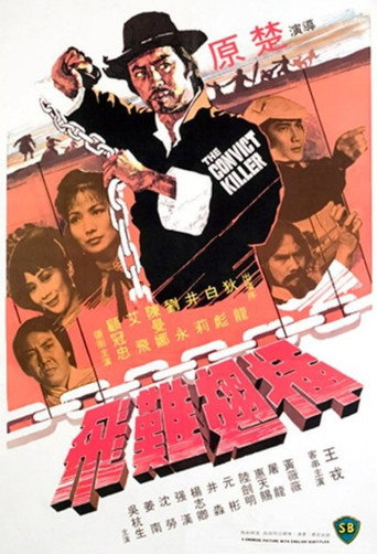 Póster de 插翅難飛