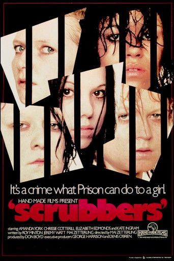 Póster de Scrubbers