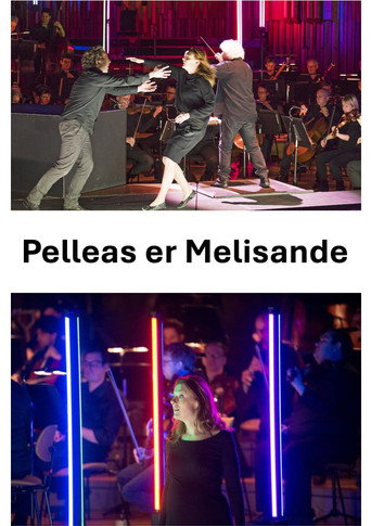 Póster de Pelleas et Melisande