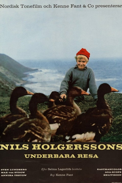 Póster de Nils Holgerssons underbara resa