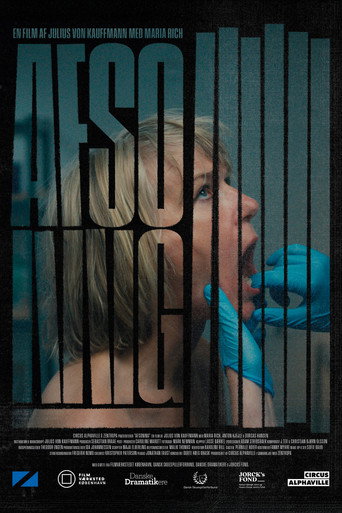 Póster de Afsoning
