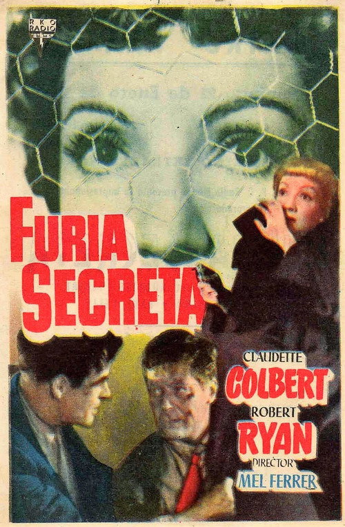 Póster de The Secret Fury