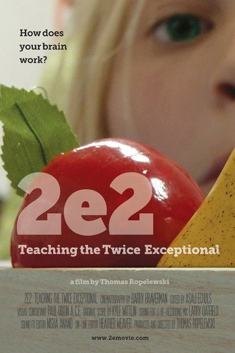 Póster de 2e2: Teaching the Twice Exceptional