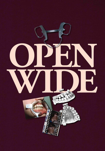 Póster de Open Wide