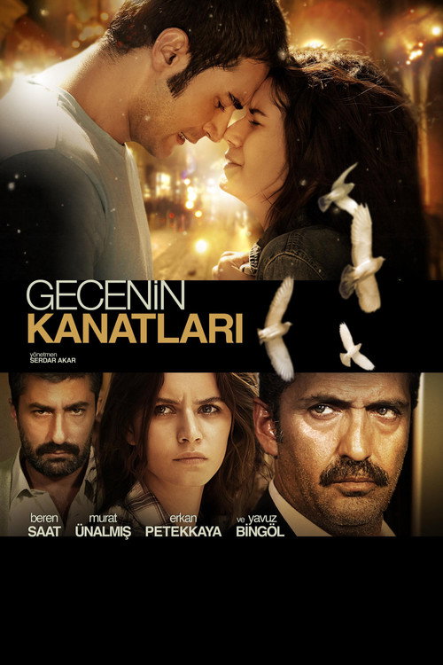 Póster de Gecenin Kanatları