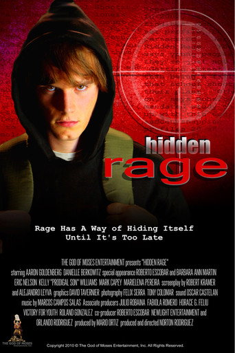 Póster de Hidden Rage