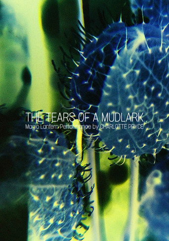 Póster de The Tears of a Mudlark