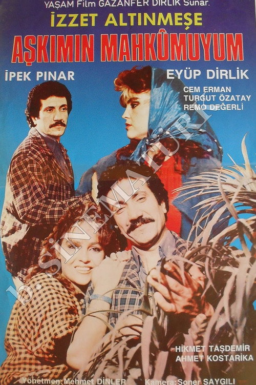 Póster de Aşkımın Mahkumuyum