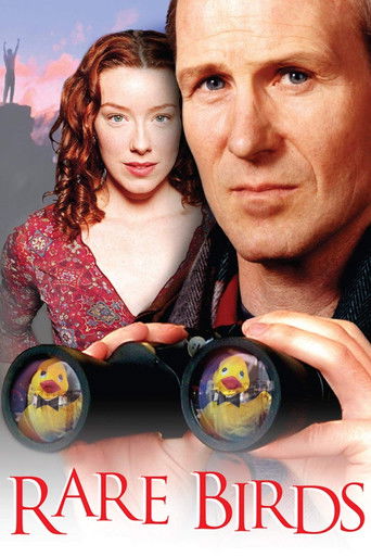Póster de Rare Birds