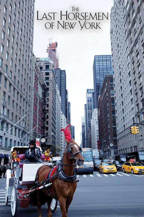 Póster de The Last Horsemen of New York