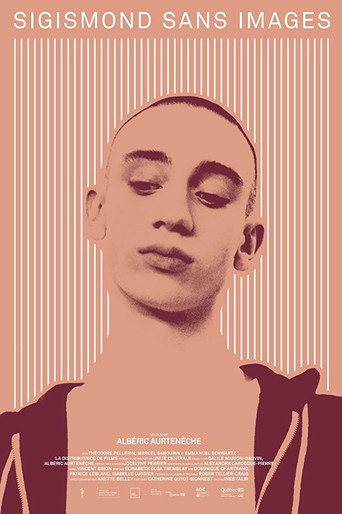 Póster de Sigismond sans images