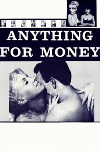 Póster de Anything for Money