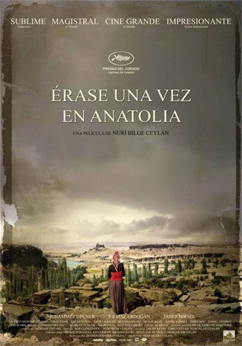 Póster de Érase una vez en Anatolia
