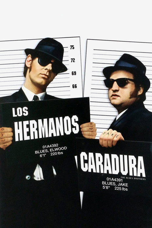 Póster de Los Hermanos Caradura