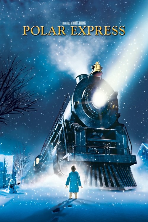Póster de El expreso polar