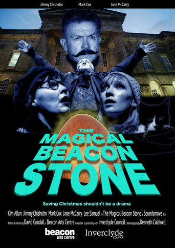 Póster de The Magical Beacon Stone