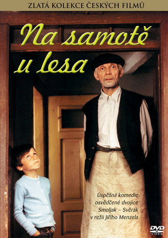 Póster de Na samotě u lesa
