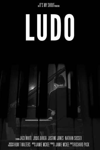 Póster de Ludo