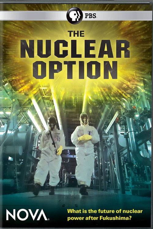 Póster de The Nuclear Option
