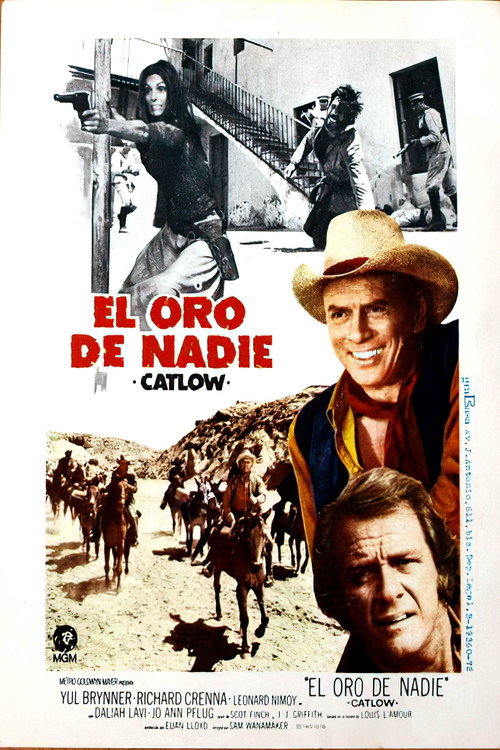 Póster de Catlow
