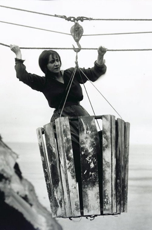 Póster de Pigen fra Palls