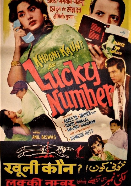 Póster de Lucky Number