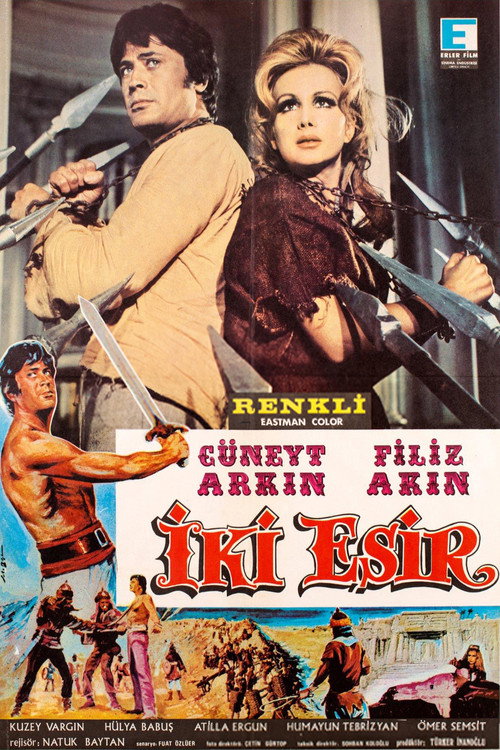 Póster de İki Esir
