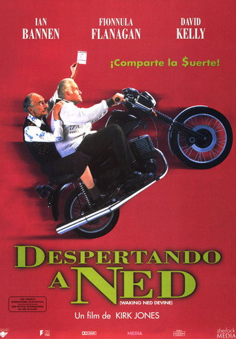 Póster de El divino Ned