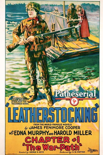 Póster de Leatherstocking