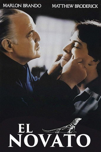 Póster de Un novato en la mafia