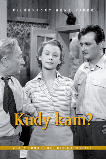 Póster de Kudy kam?