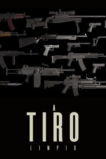 Póster de A tiro limpio