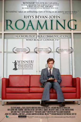 Póster de Roaming