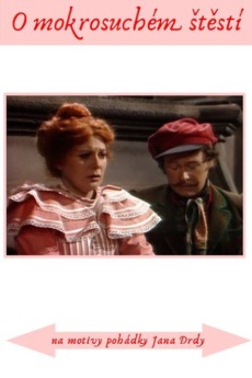Póster de Pohádka o mokrosuchém štěstí